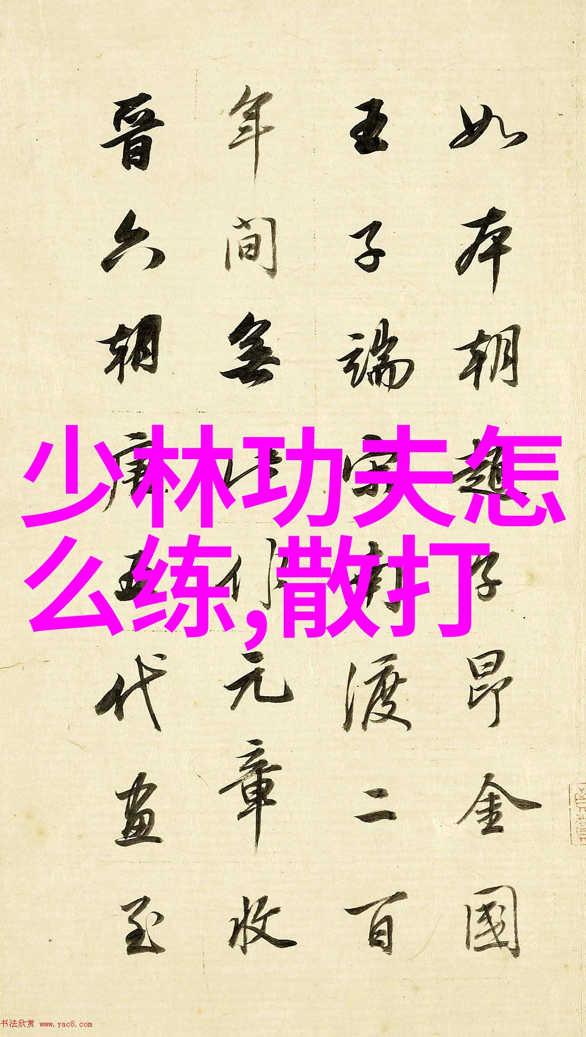 让拉力带成为你的口腔器械助你练出强悍的背阔肌