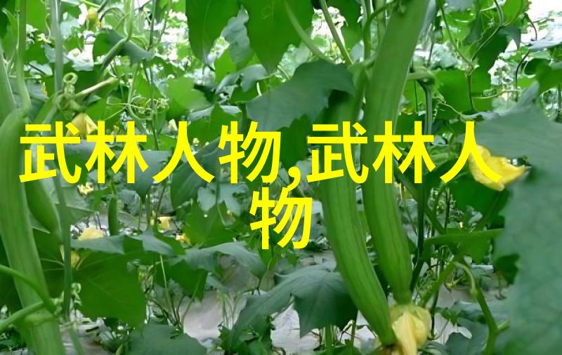 中国武学秘籍剖析剑法之冠