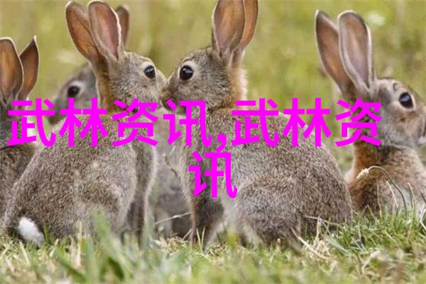 逗比五人团队名字笑傲江湖我们是哈哈乐队你看怎么样