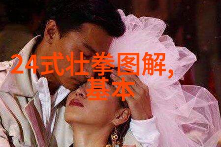 历史回顾南拳和华拳的兴衰演变