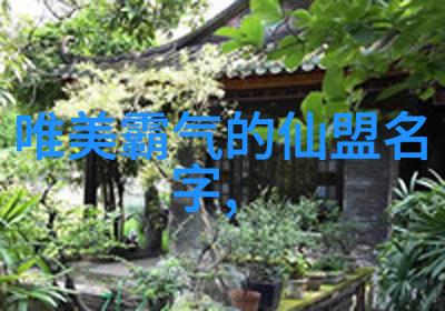 仙气飘飘南派太极拳心灵的归宿
