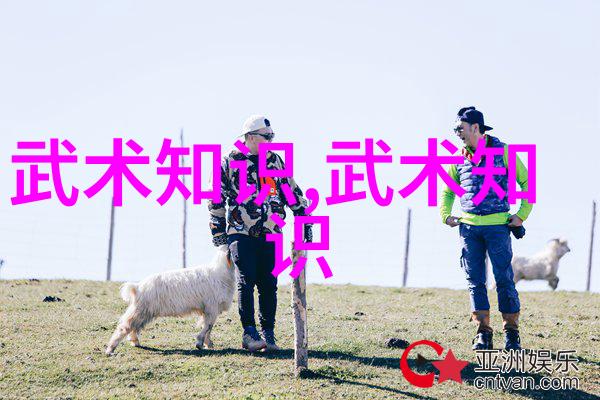 武林秘籍解密揭开古老功夫技巧的神秘面纱
