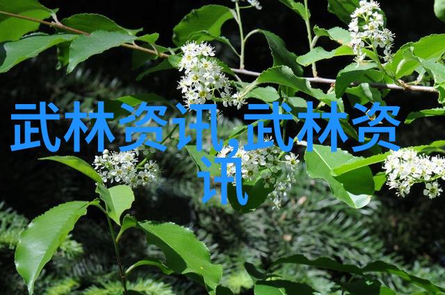 笑拳入门揭秘如何用哈哈拳征服世界
