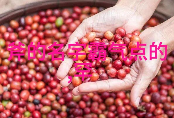 从黄昏到星辰揭开编撰中国武功秘籍的大全书的神奇旅程