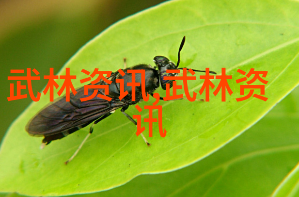 精英群体探索古武世界中最强大功法的来源