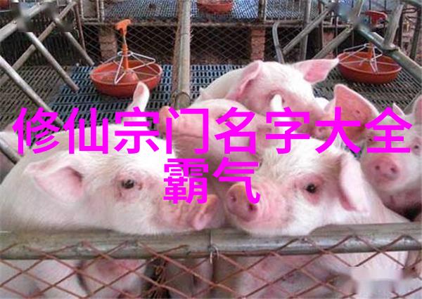 国际联手揭秘全球十大帮派之间的合作与冲突