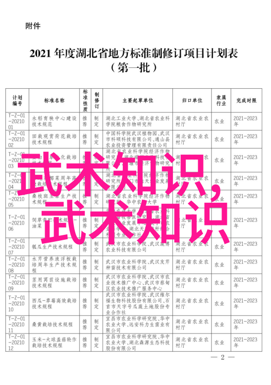 星辰使者穿越时空寻觅仙盟遗迹