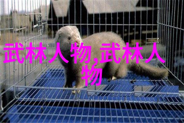 中国武术的十大流派犹如一张精彩纷呈的画卷每一笔每一划都蕴含着不同的风格和魅力