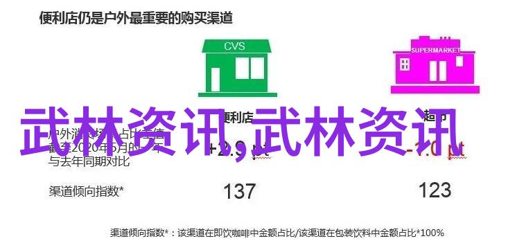 社会清新帮派宗岳太极拳