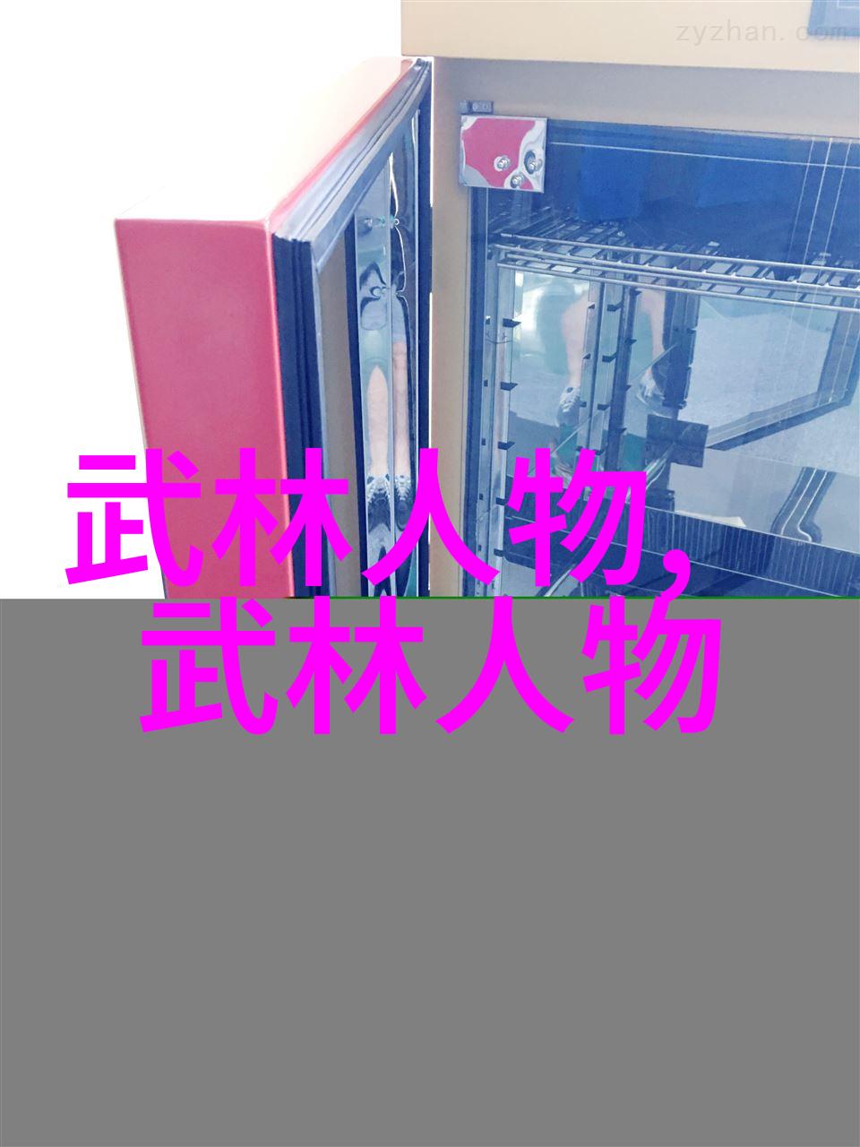 中国武术门派各掌门人中华武学的传承者