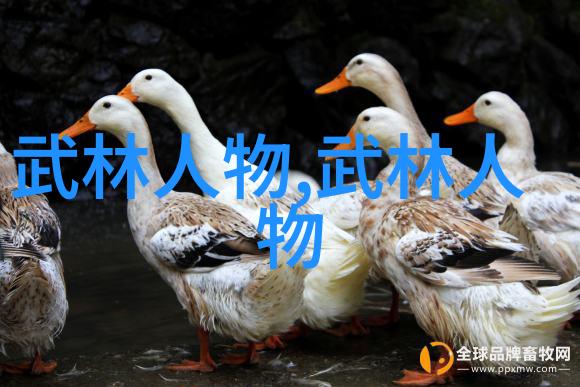中国武术宝库揭秘千年功夫流派的传承与魅力