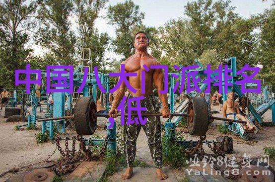 太极之韵32式太极拳拳谱解读全集
