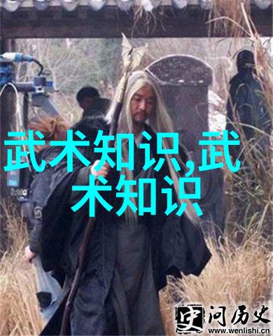 武林门派拳种亓门拳种在社会的舞台上展现力量