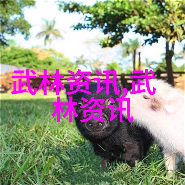 天穹幻域宗门神秘的天穹幻域宗门势力