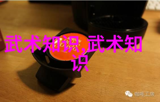 武功秘籍大全招式拳法图片学好太极拳之我见白晶莹