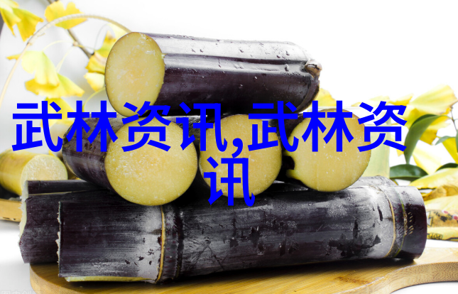 胡新朝的太极拳24式慢动作讲解在人物练习中寻求神韵与细微之处的杂谈