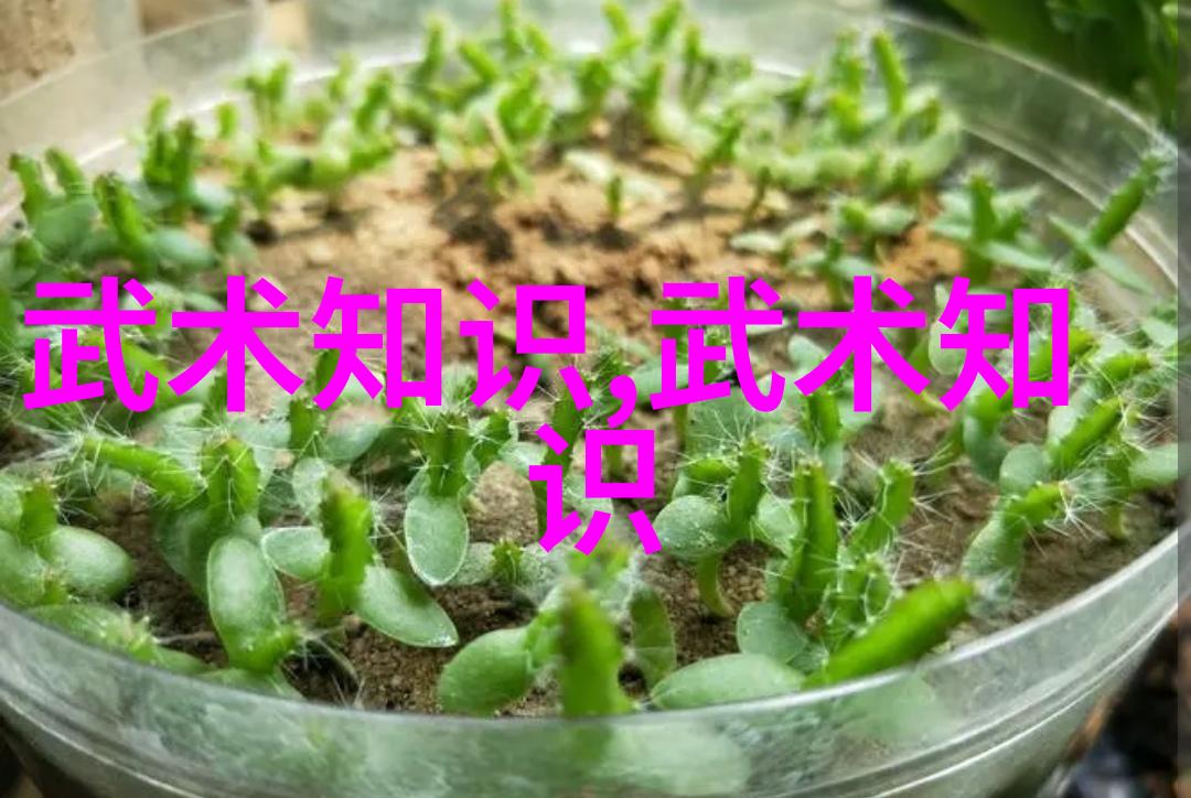 古龙神功探秘绝世武学的奥秘深处