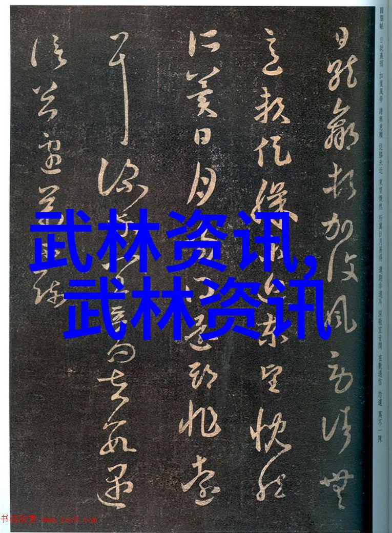 撼天记我是如何在人生的巅峰挑战中找到自我的