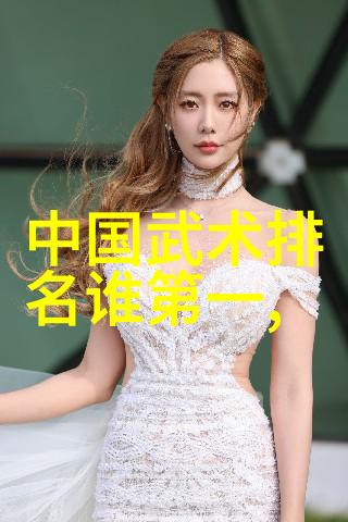 中国功夫秘籍大全反复探究太极拳桩法的叶式史