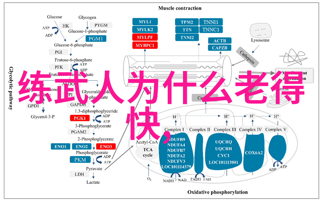 儒雅幽默之名现代助推古代帮派文化复兴