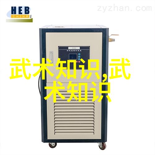 太极拳文化-内外柔和深度解读24式太极拳口诀表的哲学与实践