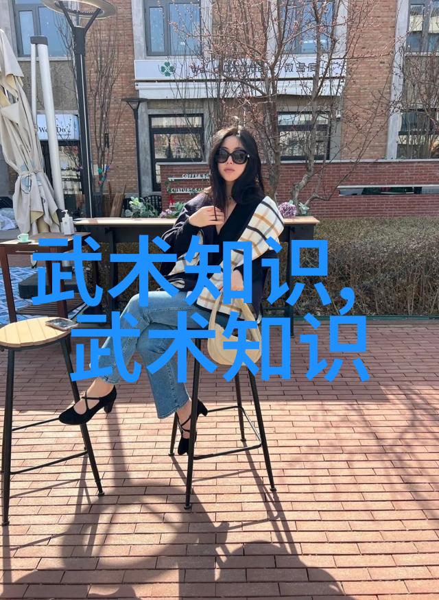 四十式太极拳视频带口令学习古典武术的完整指南