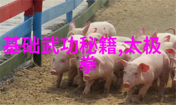 武术的12个基本动作解密太极拳秘籍练转腰胯技巧大揭秘