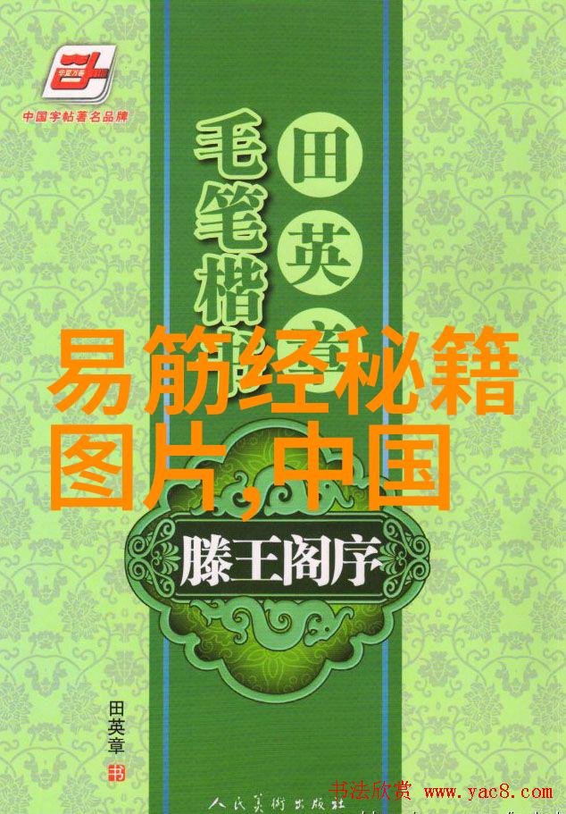 古今中外无人能敌深度剖析中国武功秘籍的大全书