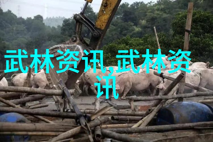 幻境之恋幽梦盟的诞生与传奇