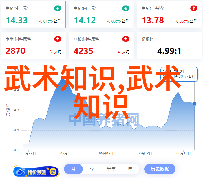 中国体系最庞大的武术门派揭秘千年内功秘籍与招式演变