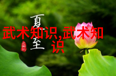 亲爱的老师6中文版完整版HD - 回忆与启示亲爱的老师6中文字幕版深度解析