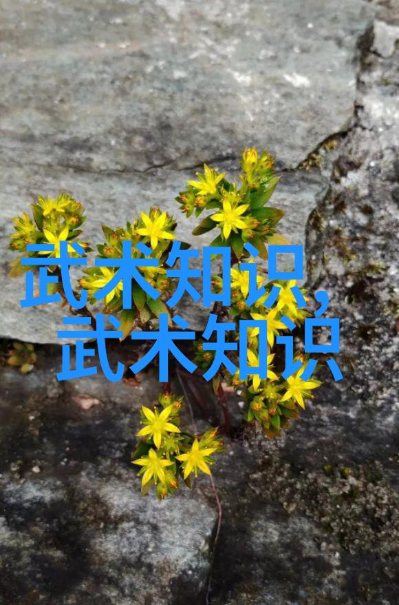 梦见游泳池早学游泳终身受益