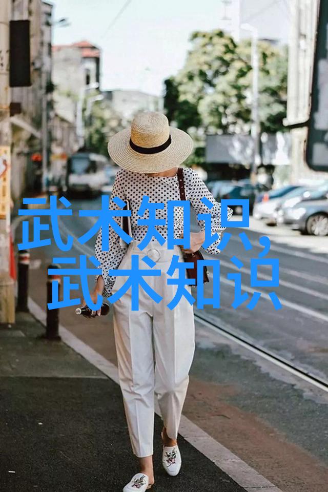 龙门秘笈揭秘武当全真的绝学传承者
