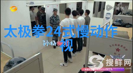 拳法世家揭秘中国30大武术门派背后的家族文化