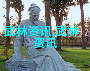 中国功夫中的内力与速度对比分析各自在比赛中的表现能力