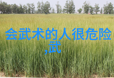 探索中国武术源流大全书中隐藏的历史真相有哪些