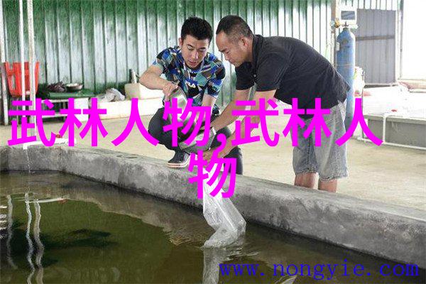 太极拳24式动作详解太极拳基本招式教学