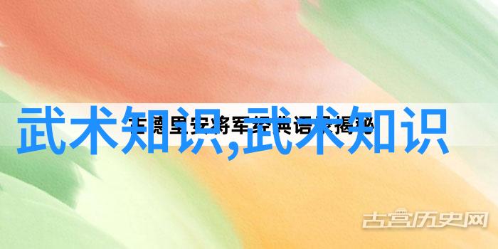 武林秘籍大全古剑秘法录