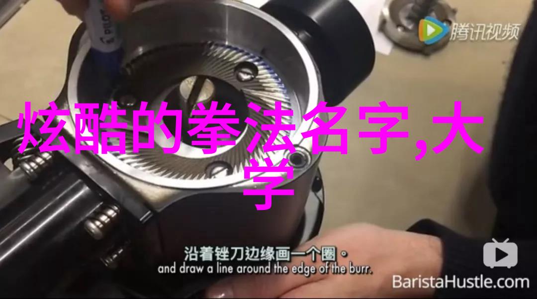 李倩拳击纳西姆-哈麦德的力量之舞