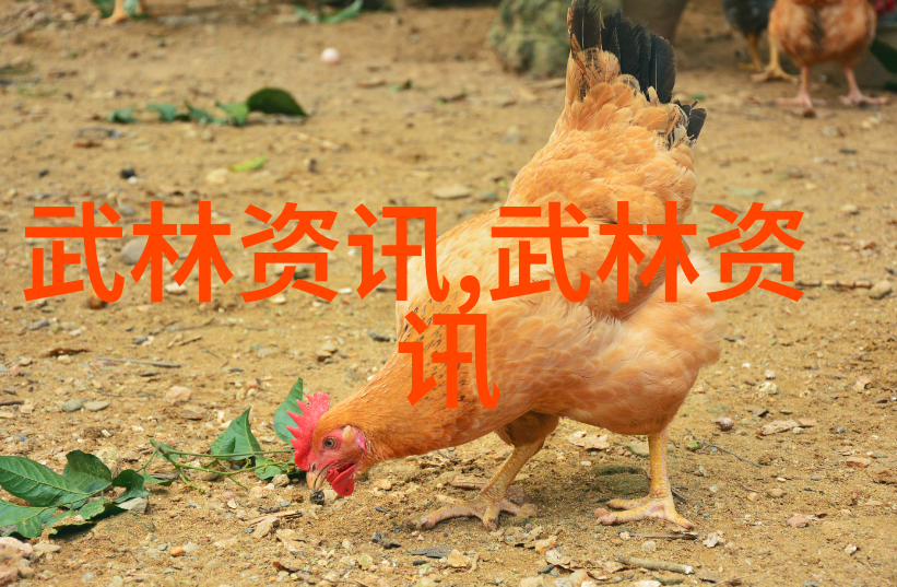 欢笑连连逗比五人团队的趣事汇编