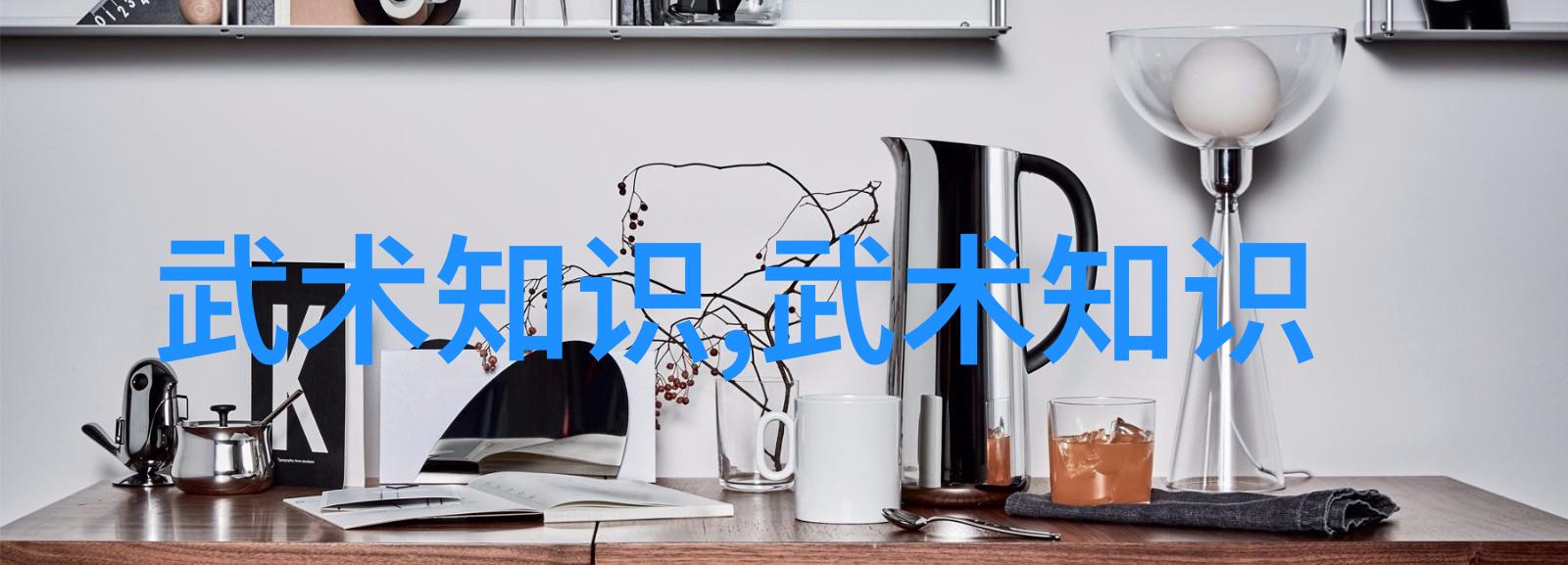 太极拳24式每一式图解视频-掌握传统武术精髓的全方位学习指南