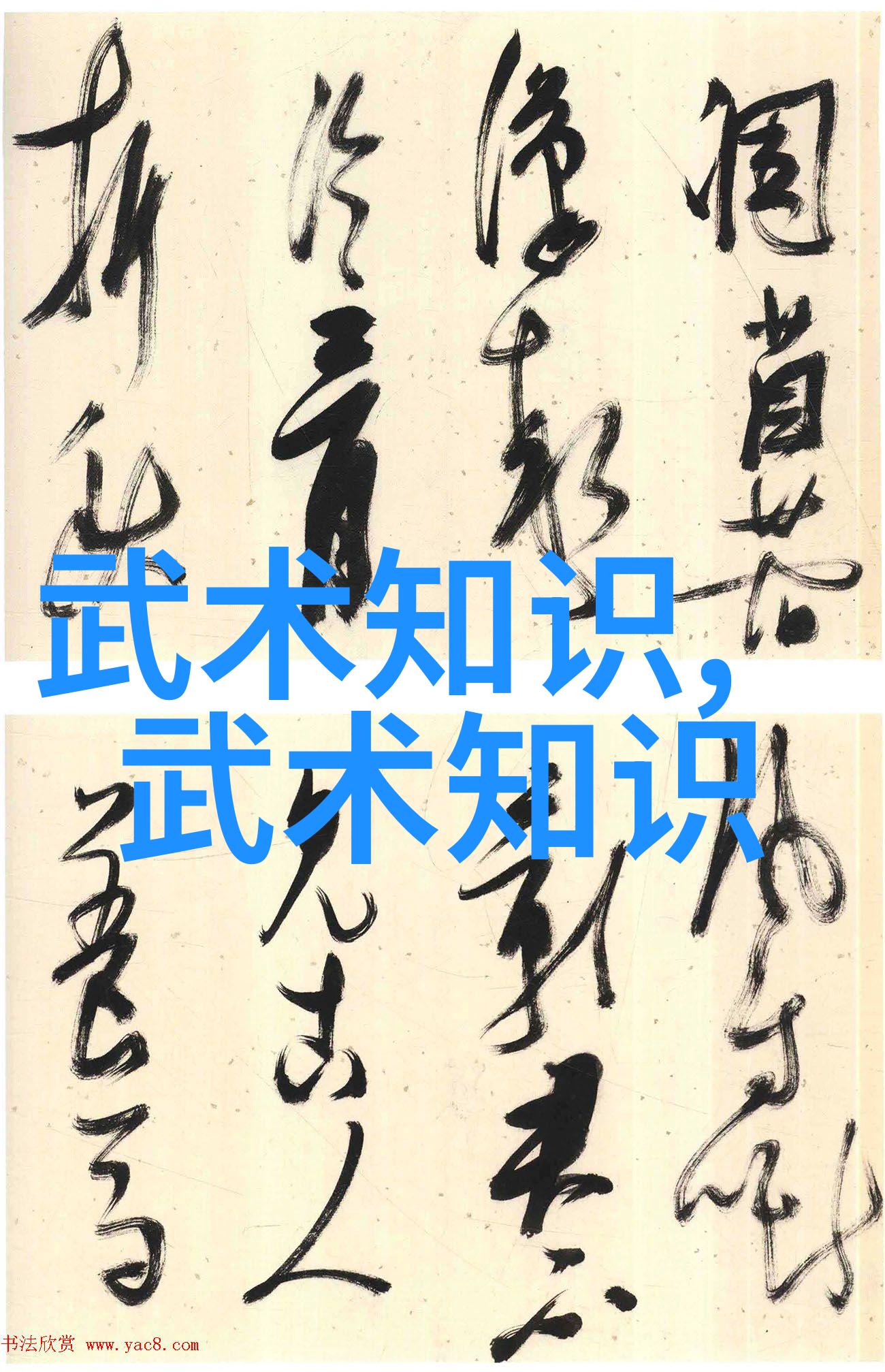 武术万维网官网探索古今武学宝库的数字之门