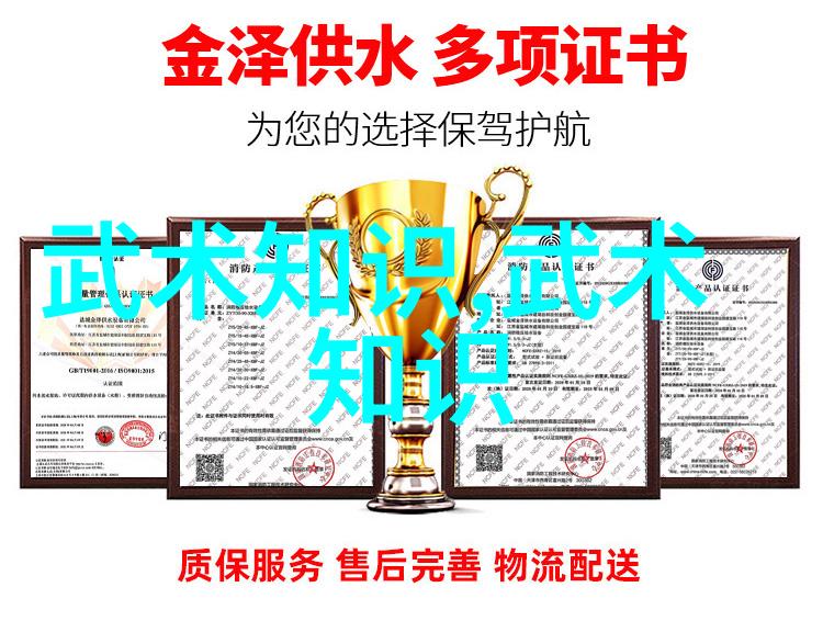 天穹之痕古代神功绝技秘录