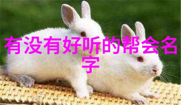 内功外运中国武功之精髓探索