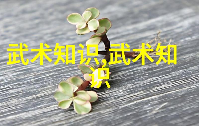 跨越时空现代人如何运用历史资料来创作出真正的唯美古风仙盟名称