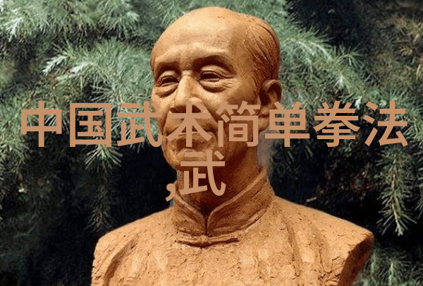 中国功夫秘籍大全内含武术基础训练招式演练精华技巧解析