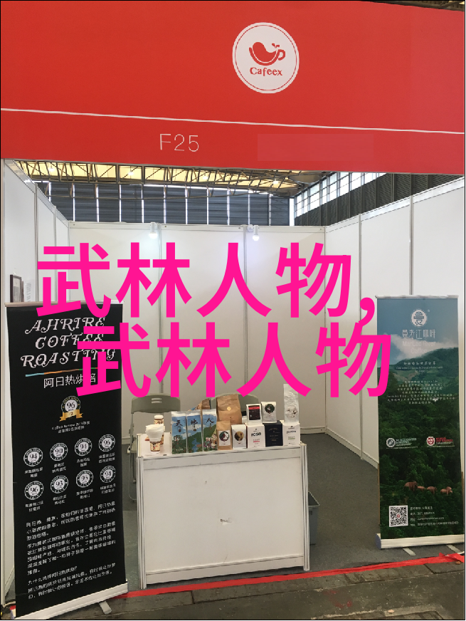 从太极拳经到金刚经中国武功秘籍的神话与现实
