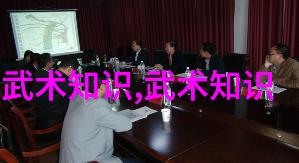 太极拳之我见怎样才能练成功夫学好之道-白晶莹