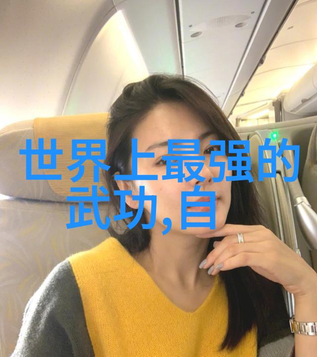 古代武功秘籍口诀天下武学之精华录