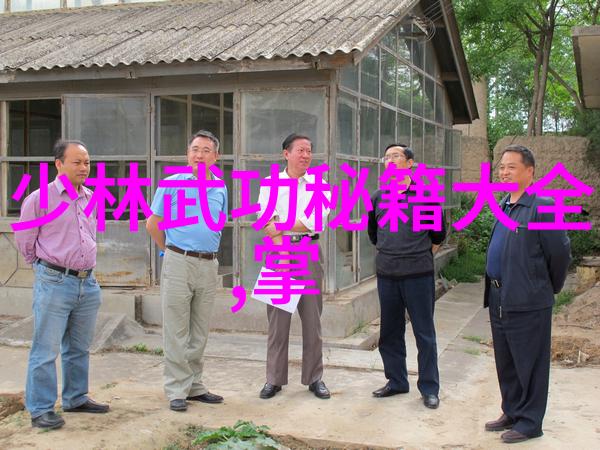 秘籍未解古武入门之迷雾修炼